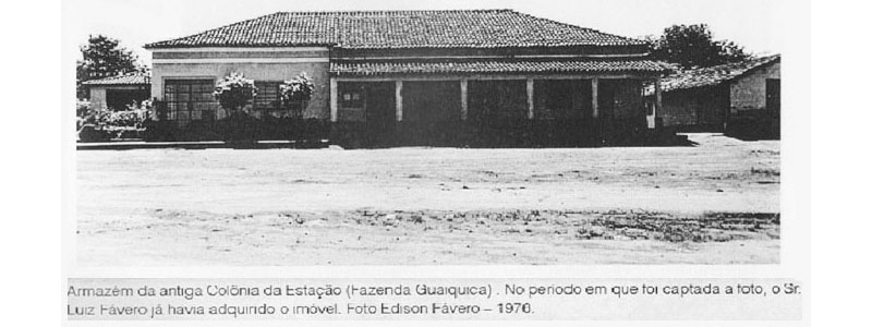 p 61-61