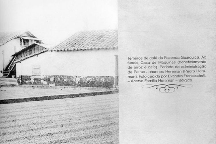 p 17/116