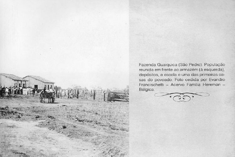 p 19/116