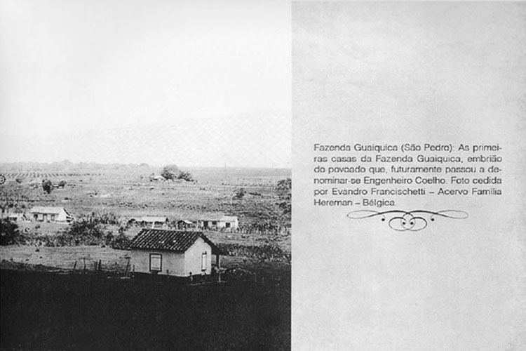 p 21/116