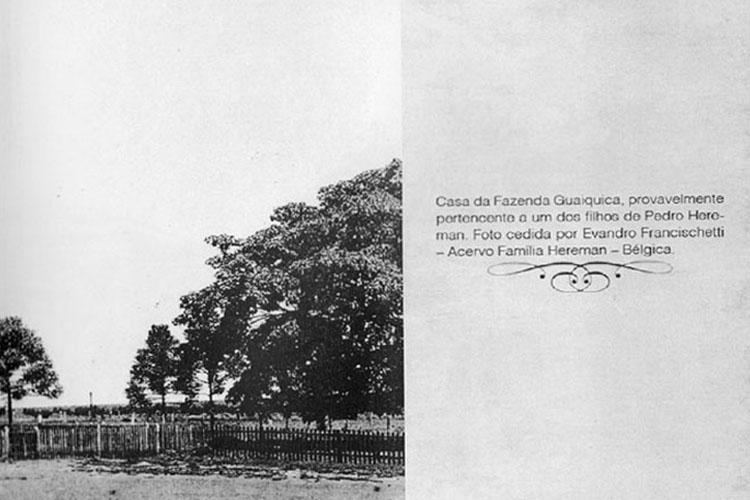 p 27/116