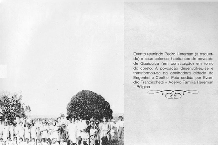 p 33/116