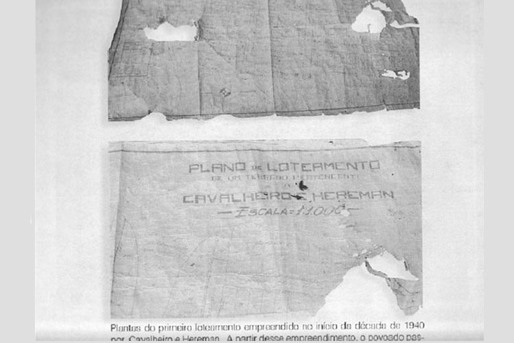 p 49/116
