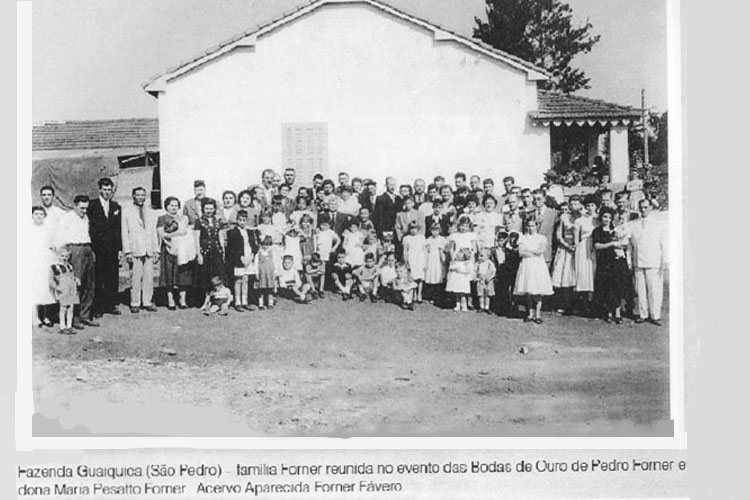 p 55/116