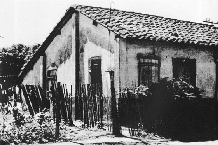 p 67/116